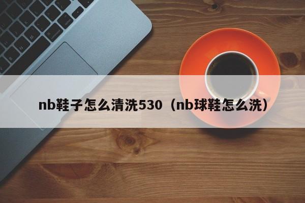 nb鞋子怎么清洗530（nb球鞋怎么洗）